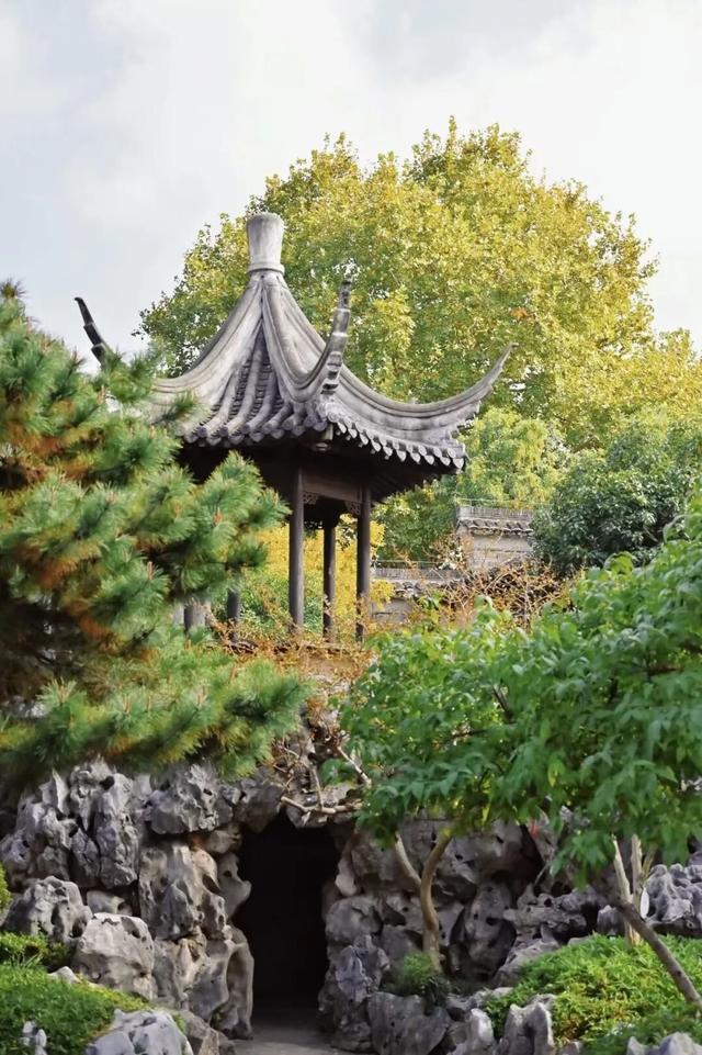 欢迎走进愚园的假山秘境→