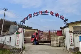 大安区十字村：智能鸡棚2025年首批肉鸡出栏 年出栏将超30万只图片