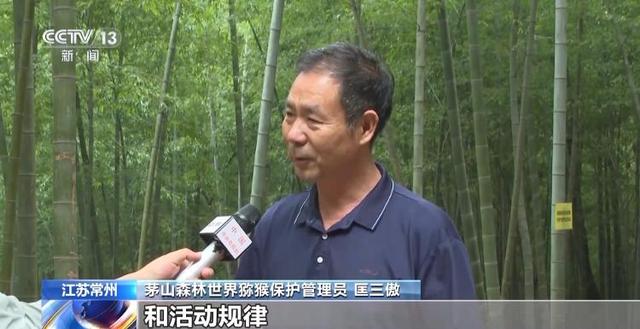 江苏一景区“月均6万元收编泼猴”引关注 “人猴冲突”如何解决？