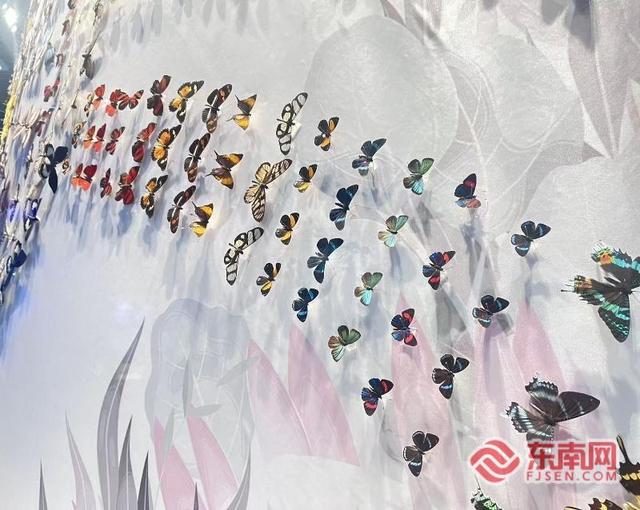全国媒体达人云南行|探访澄江化石地博物馆 邂逅诗意抚仙湖