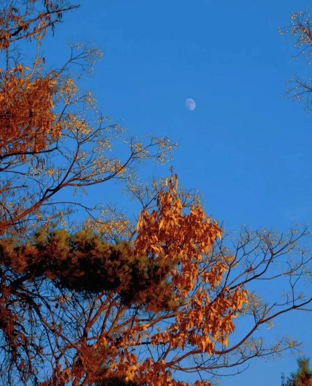 这条宝藏步道，藏着威海人冬日的运动暖趣