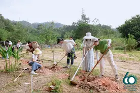 2024年中法环境月华南地区开幕式在中山举行图片