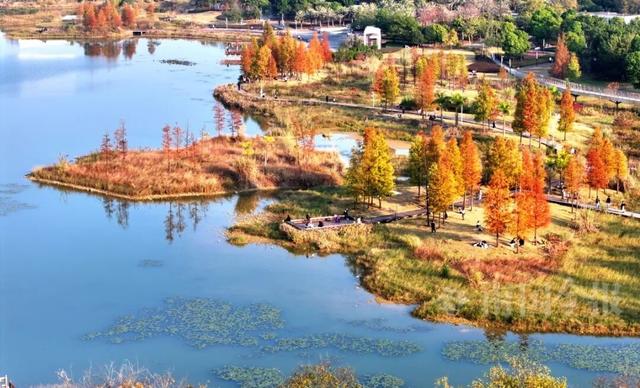 柳州，彩色刷屏！大反转也要来了！