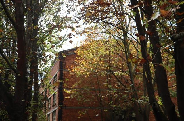 贯彻全会精神 云岭一线见闻