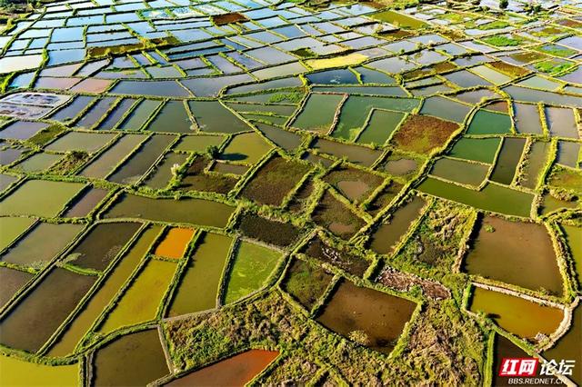 岁暖时刻丨峰峦为幕，稻田作镜！沐宦头村的黄昏是自然最工整的构图