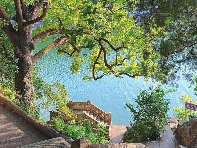 国际化！奉化5条入境游线路上线携程海外平台！