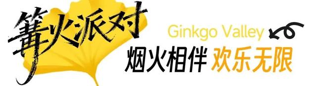 黄都黄了，不如来银杏谷走走