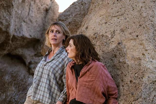 又被当做流量密码的她，我实在追不动了