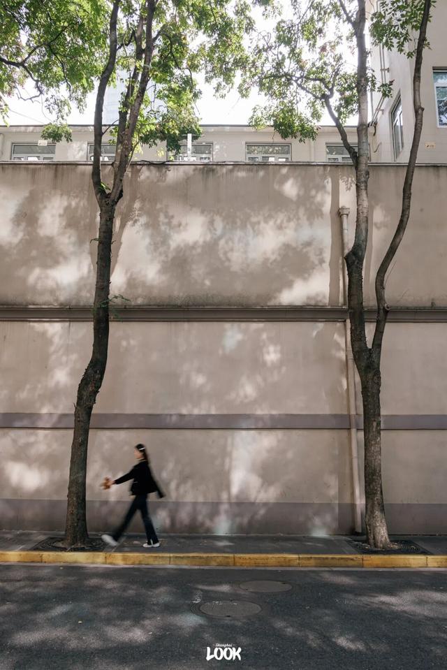 上海最美不过愚园路