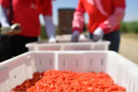 易地搬迁安置“后半程”图片