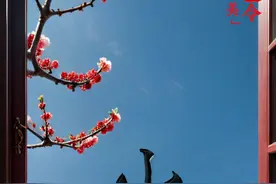 节令之美丨小寒无所有，聊赠一枝梅图片