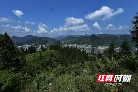 古丈“村播”：激活乡村振兴“一池春水”图片