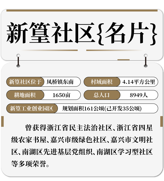 南湖·村show丨竹韵新篁