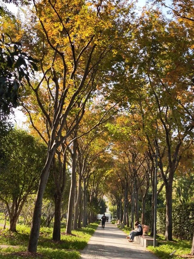 美到犯规！藏在静安深处的秋冬打卡地图上线丨静宝聊天室