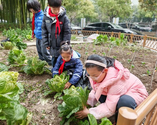 ​植树节 | ​盲盒开出惊喜！植树节校园里仪式感拉满