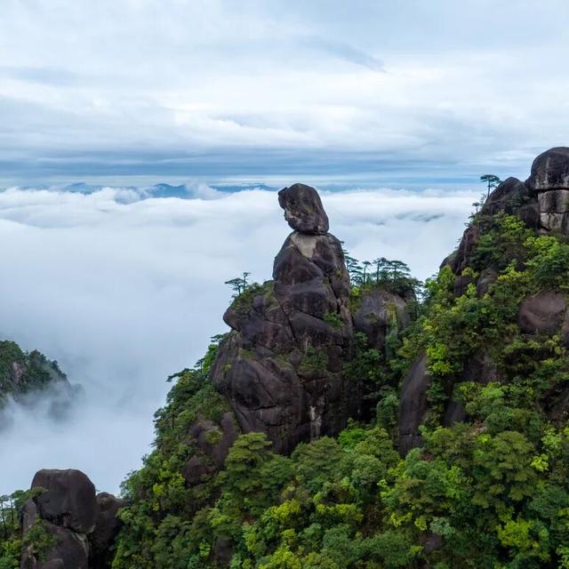 山在云中“飘”，人在画中“游”！这趟“追云之旅”别错过