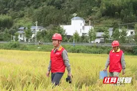 曾建西：十六载坚守 “一亩三分地”可靠用电图片