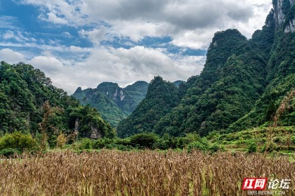 秋游时刻丨吉首夯腊：喀斯特与峒河的秘境交响