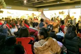 黑龙江这所高校突然爆火！门前排起长队，只为见它一眼！图片