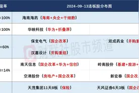 9月13日连板股分析：华映科技盘中上演“天地天板” 国企改革概念一枝独秀图片