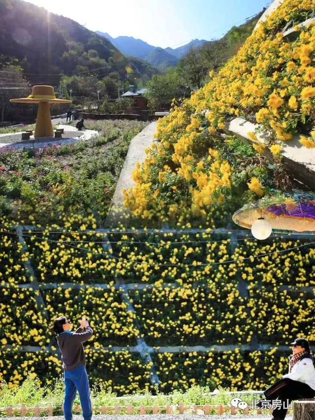 多彩京秋各区巡游 |房山区美翻了！秋日限定~