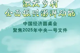 激发乡村全面振兴澎湃动能——中国经济圆桌会聚焦2025年中央一号文件图片