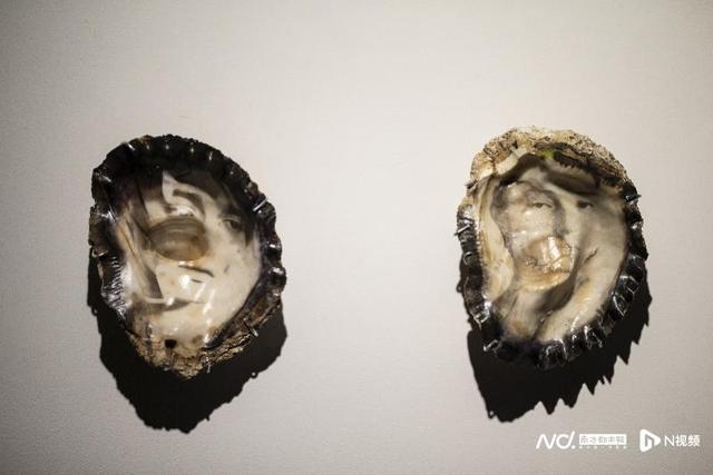 重思自然与人类的关系，展览“自然契约”登陆清华艺博