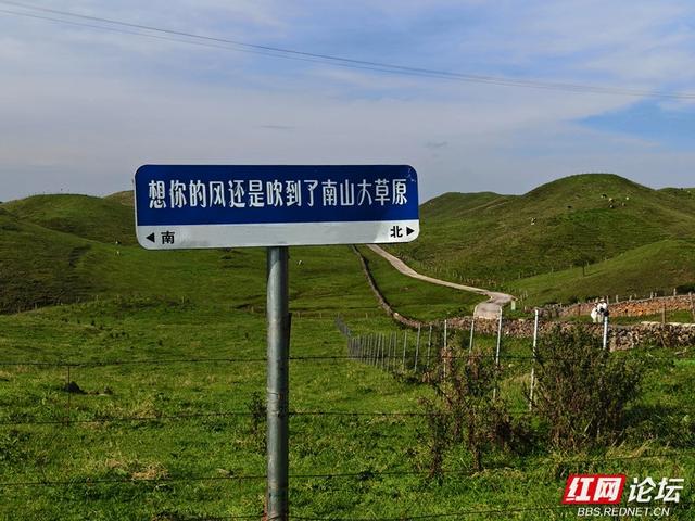 高清湖南丨湘西南的绿宝石：城步南山，高原牧歌里的童话世界