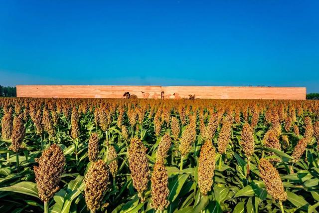 女厕多于男厕？毕超：这是景区藏在细节里的温度
