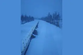 北京下雪了！最新雪景图公布 最新北京天气预报图片