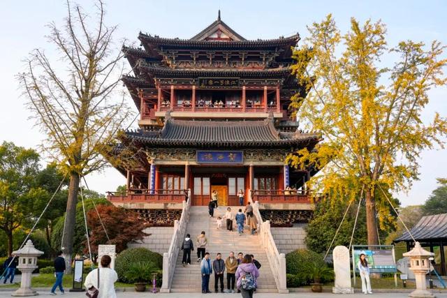 出片率100%！海陵“含金量”在上升！