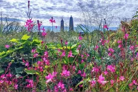 国庆假期 太原市各公园热闹非凡 处处洋溢喜庆节日氛围图片