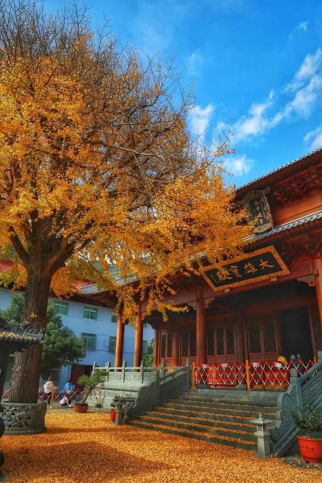 宁德发布旅游精品线路