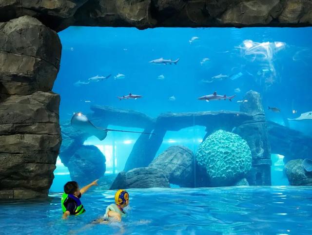 这波羊毛必须薅！舟山这一景区寒假学生免费