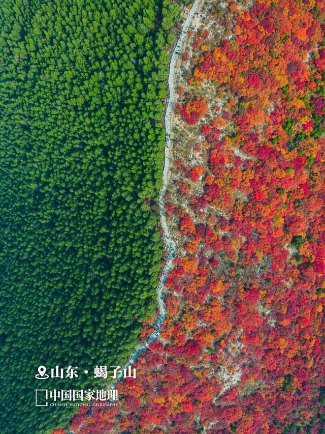 新华社+《国家地理》推荐 快来打卡山东秋景限定款