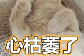 我晚年再婚，新老伴有退休金我没有，我能向他索要扶养费吗？他想让我的孩子来负担我的生活费用图片