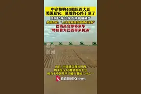 中企抢购40船巴西大豆 美国豆农：悬着的心凉了图片