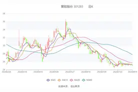 聚胶股份：2024年上半年净利润5738.2万元 同比增长35%图片