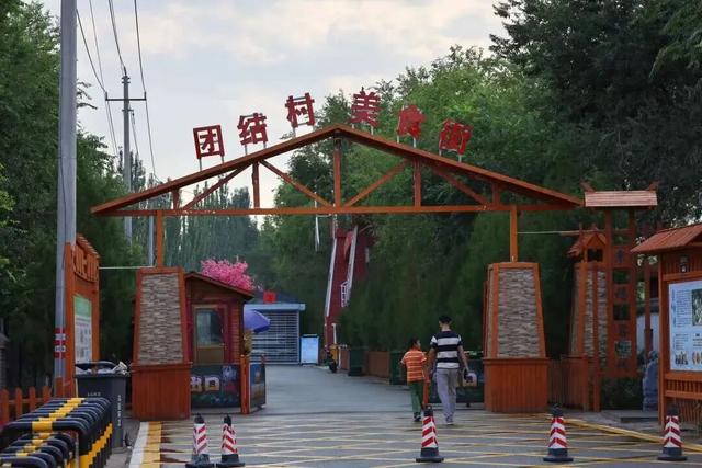 呼叫全国网友！快来巴彦淖尔捡辣椒、拔蔓菁、逛美丽乡村