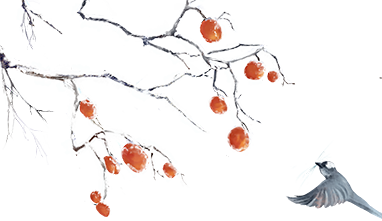 桂林永福惊现“玉树琼花”！雾凇限定美景，藏着冬日最治愈的魔法