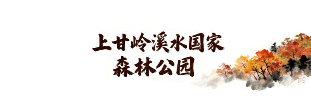 “十一”假期 电网人带你打卡最美龙江