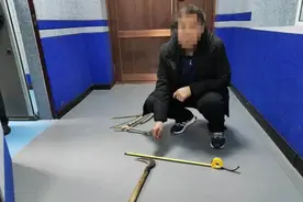 砍树→跑路→自首！男子一波三折，源于三株“黄菠萝”图片