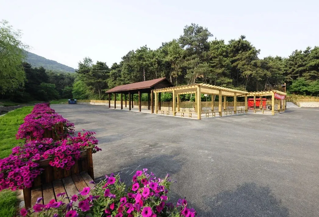 沈阳推出9条秋季乡村游精品线路，稻浪红枫、硕果肥蟹！