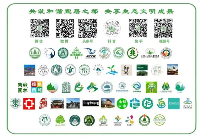 永定门花园市集：微更新唤醒古都活力，开启金秋文化盛宴