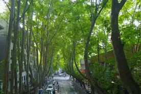 事关房子，郑州这项新规迎来大改：中心城区新编住宅项目容积率不超2.5图片