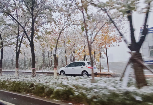 雪的变奏：从刀郎旋律到新疆脉动