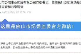 主动投案！原佛山公控董事长涉嫌严重违纪违法图片