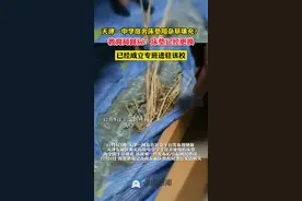 天津一高中宿舍床垫用杂草填充？教育局回应：床垫已更换并成立专班驻校调查图片