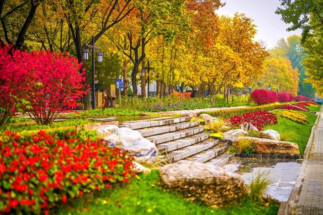 美图 | 银杏道太出片了，皇城根遗址公园焕新升级