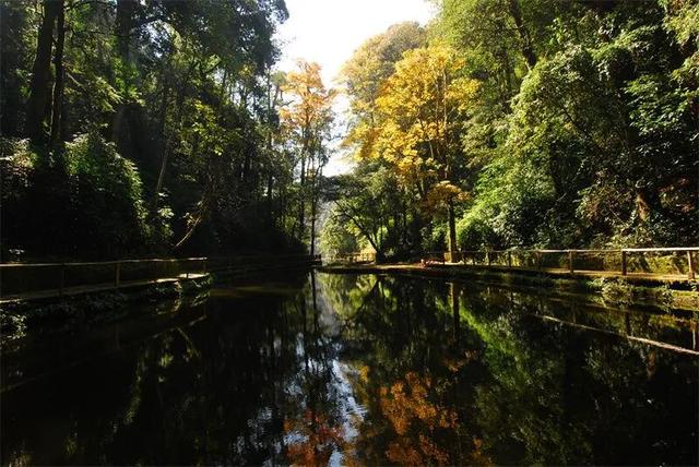 2026年，来红河，赴一场跨越四季的浪漫之约！